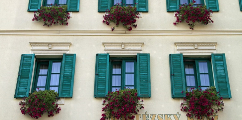 Rolety czy zasłony do salonu? Co wybrać?