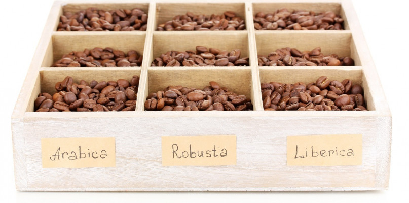 Najpopularniejsze rodzaje kaw - czy znasz je wszystkie?