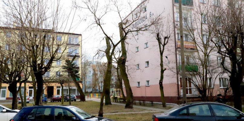 fot. Piotr Szatkowski