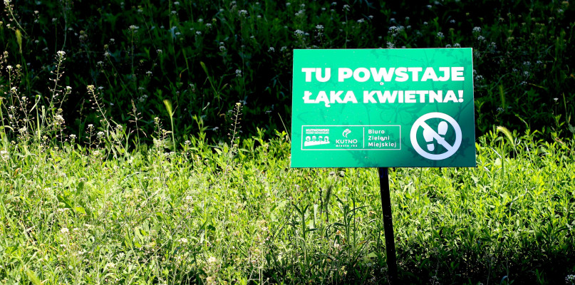 fot. Piotr Szatkowski