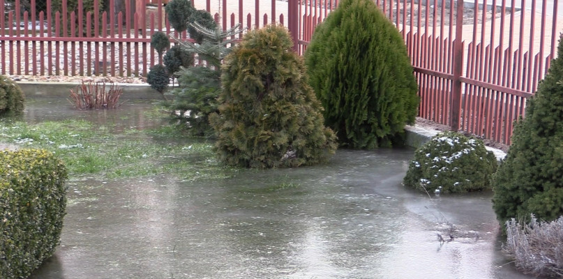 fot. Marek Gołębiewski