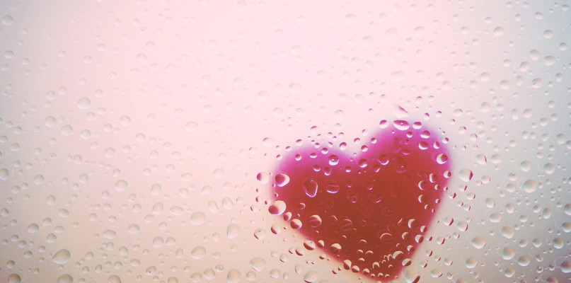 Obraz Kranich17 z Pixabay 