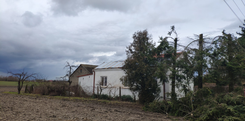 Działania podjęte na terenie gminy Kutno w związku z nawałnicami