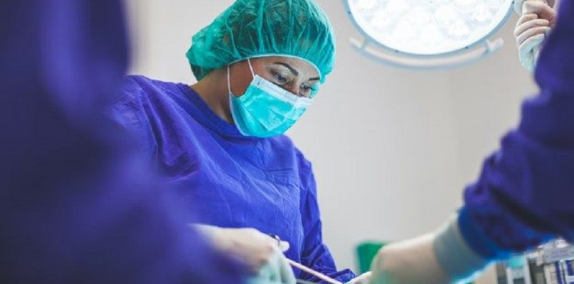 Lekarz a technik weterynarii - jaka jest różnica i ile zarabiają te osoby