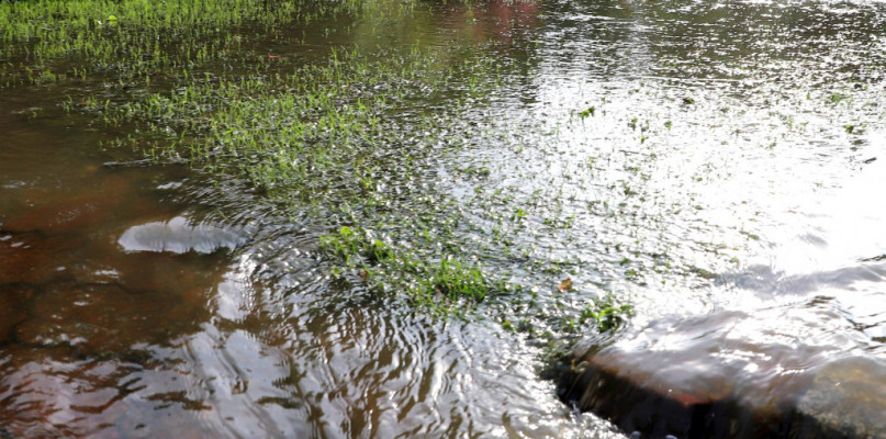 fot. Piotr Szatkowski