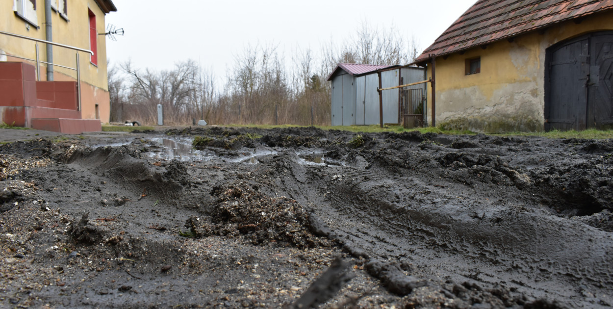 fot. Marek Gołębiewski