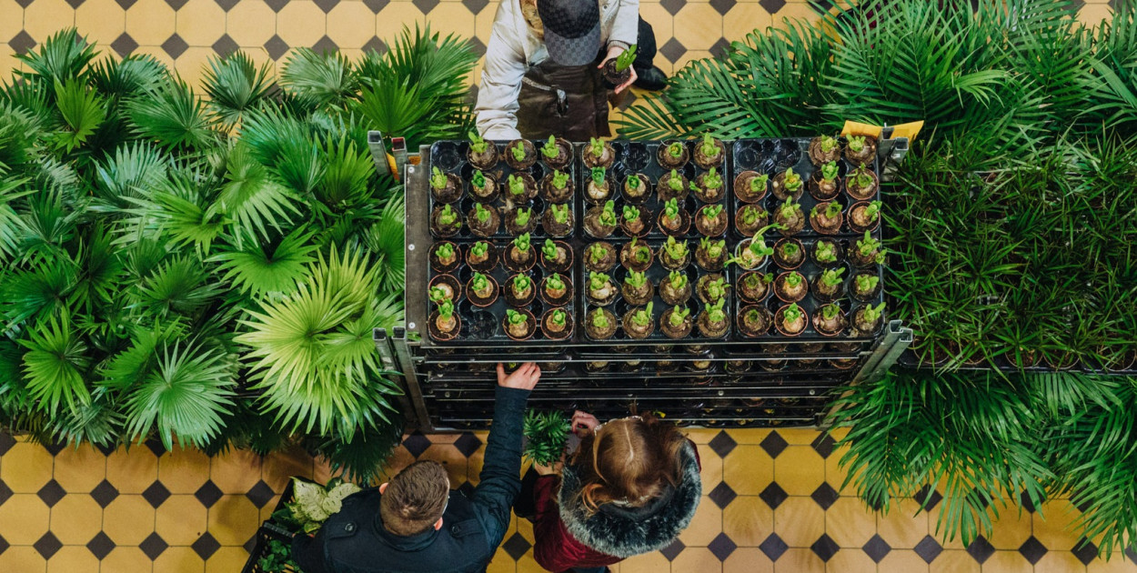 Wiosna w EC1. Miasto Kultury w Łodzi największy targ roślin doniczkowych w Polsce