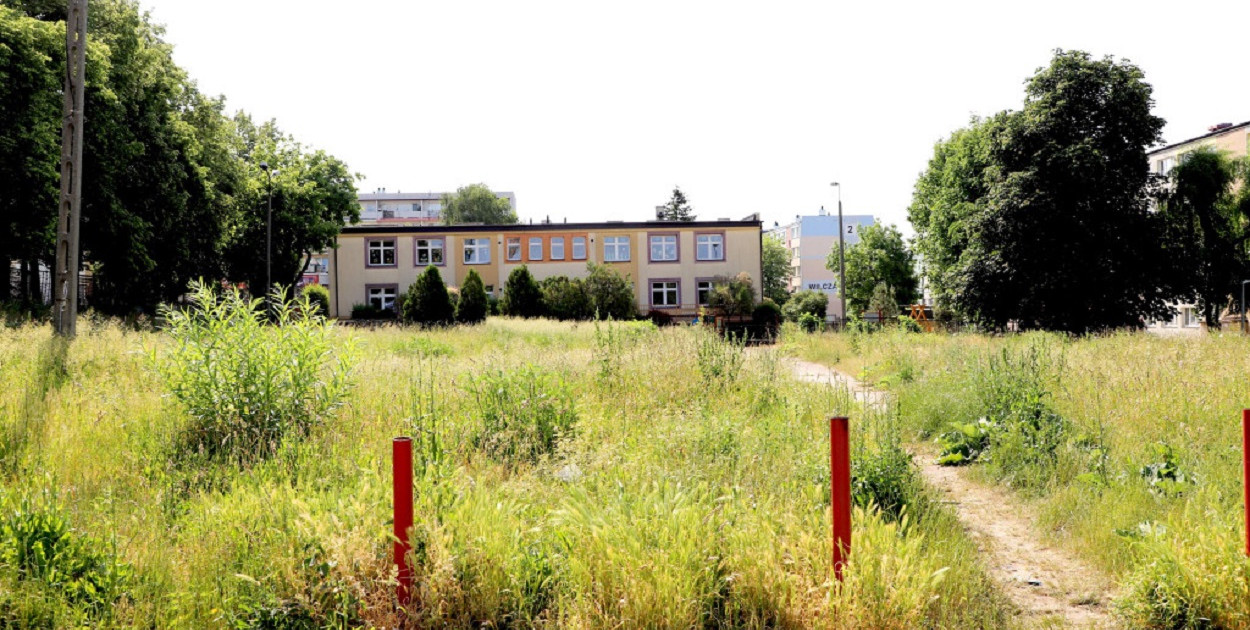 fot. Piotr Szatkowski