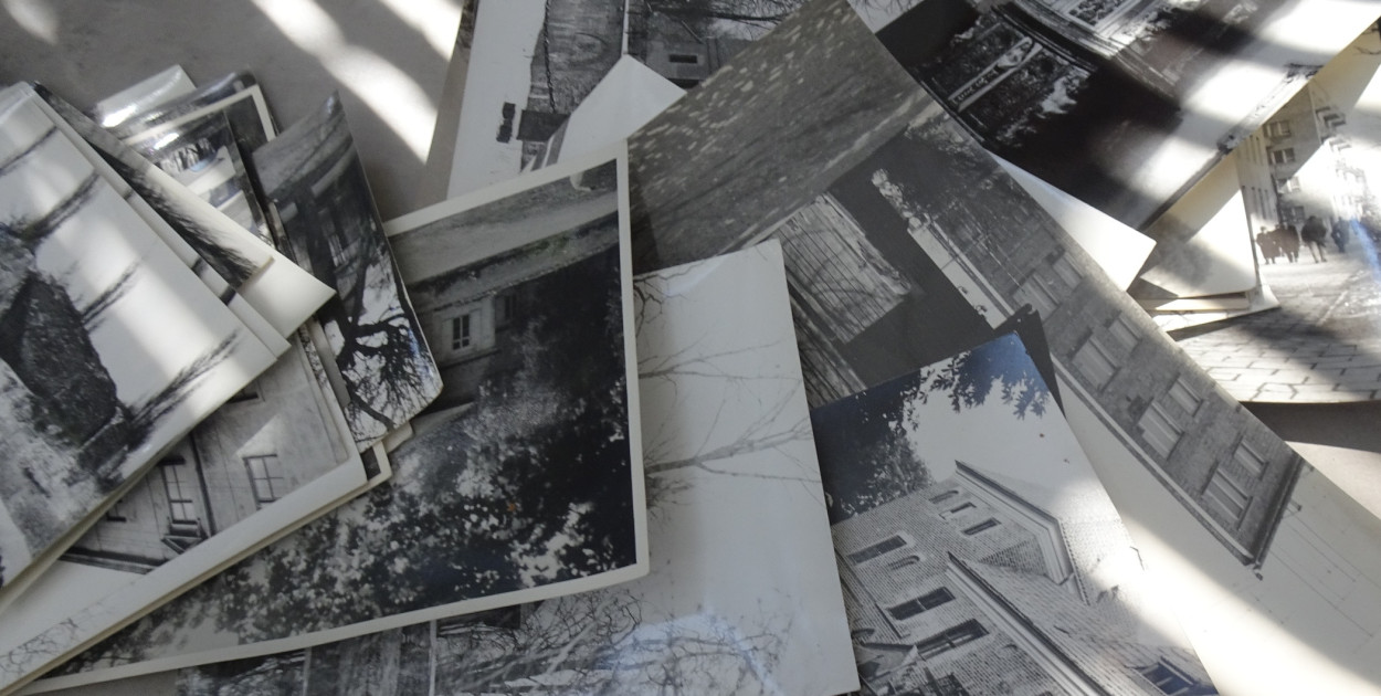 fot. Bożena Gajewska