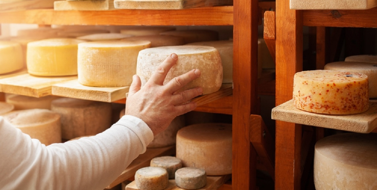 Ser żółty – wszystko, co warto o nim wiedzieć