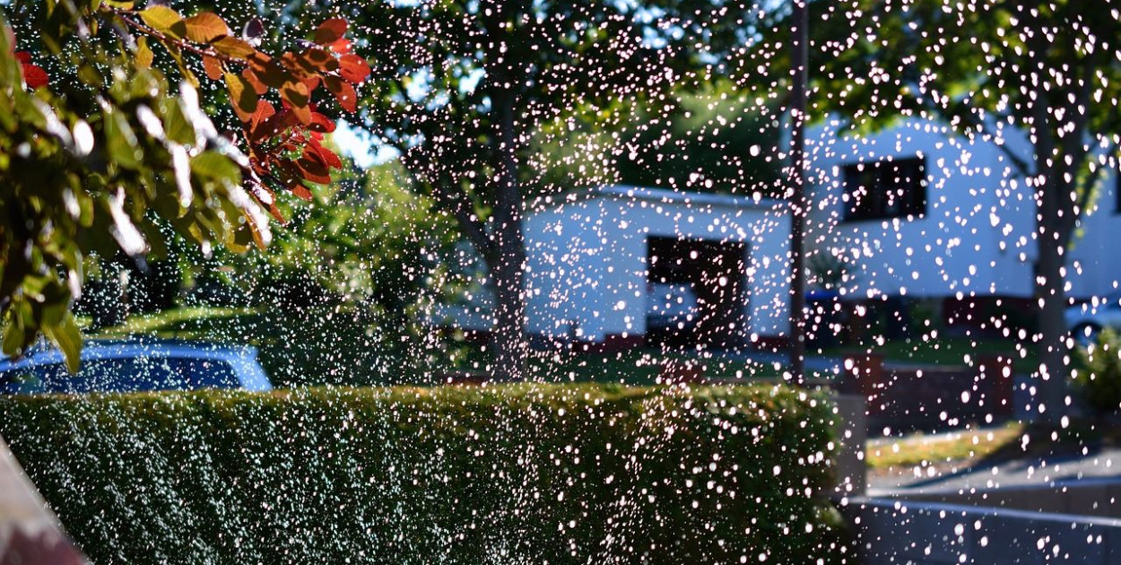 Zalety i wady stosowania nawodnienia kropelkowego w ogrodzie