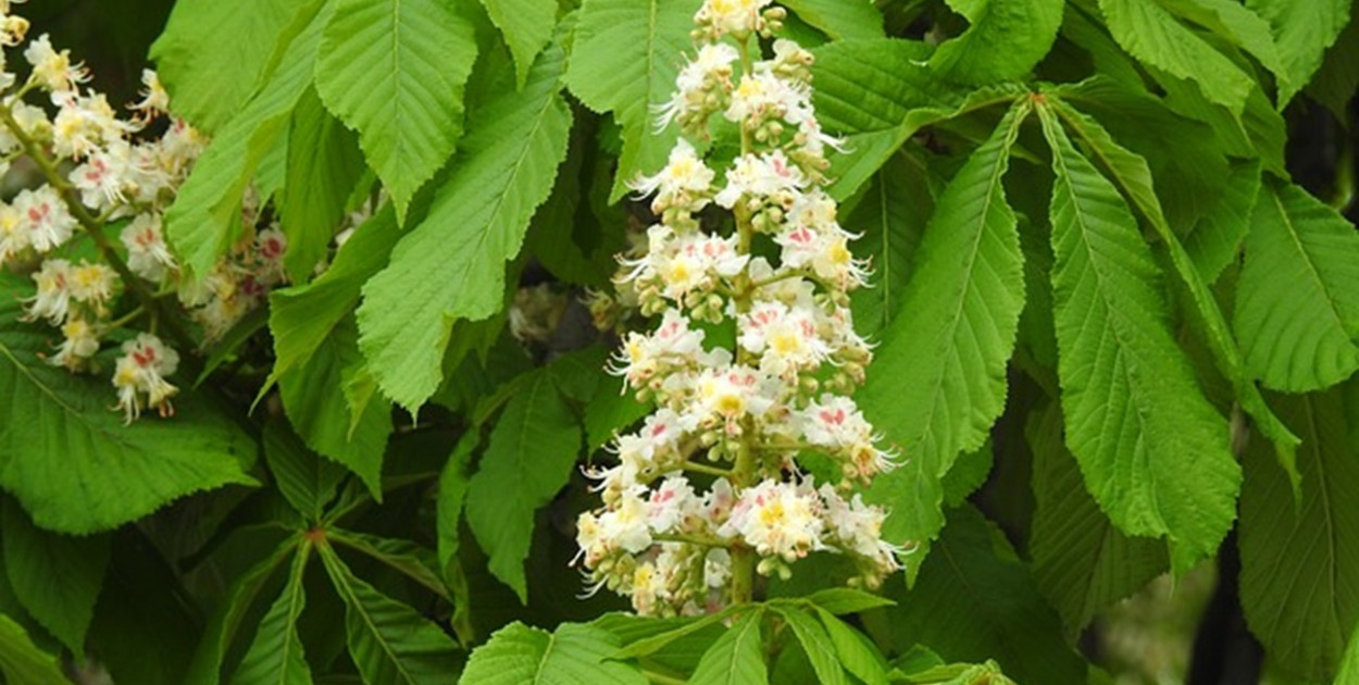 Profesjonalne kursy dla maturzystów i maturzystek w Łodzi - warto wiedzieć więcej