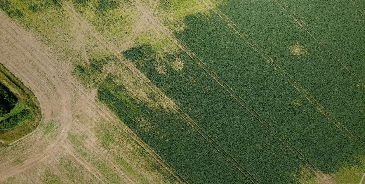 Zdjęcie dodane przez Altaf Shah: https://www.pexels.com/pl-pl/zdjecie/zielony-pole-uprawne-widok-z-lotu-ptaka-zielone-pola-8792619/