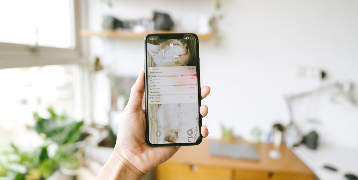 iPhone 11 - Co znajduje się w pudełku?
