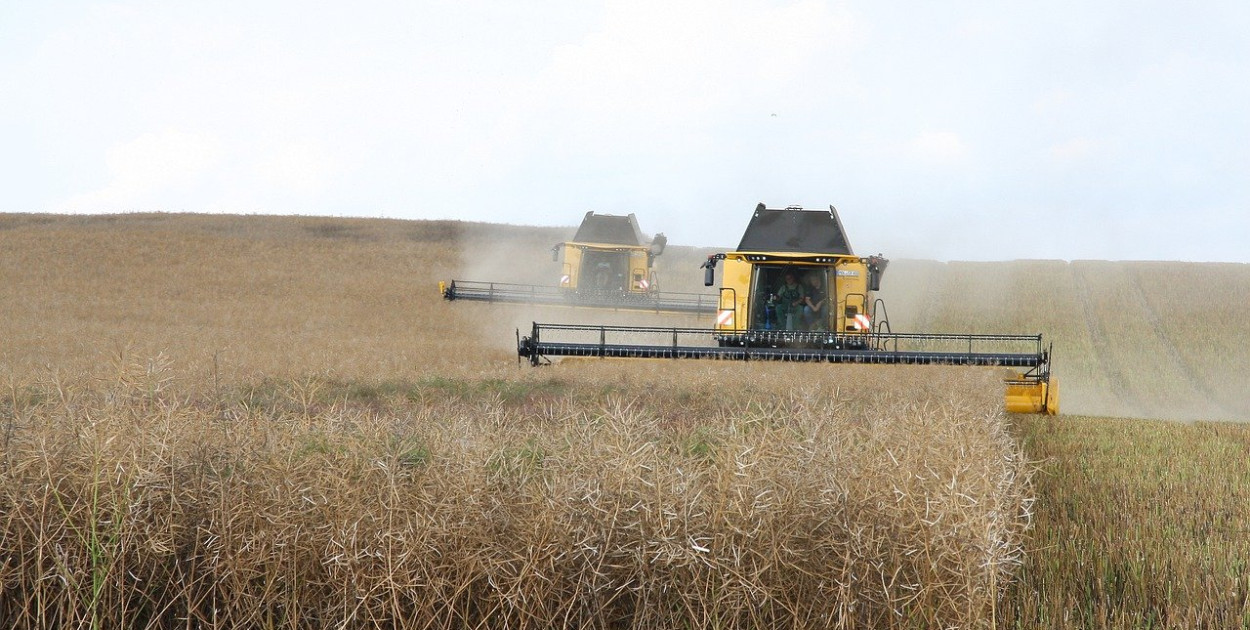 Rolnictwo i jego wpływ na gospodarkę krajową