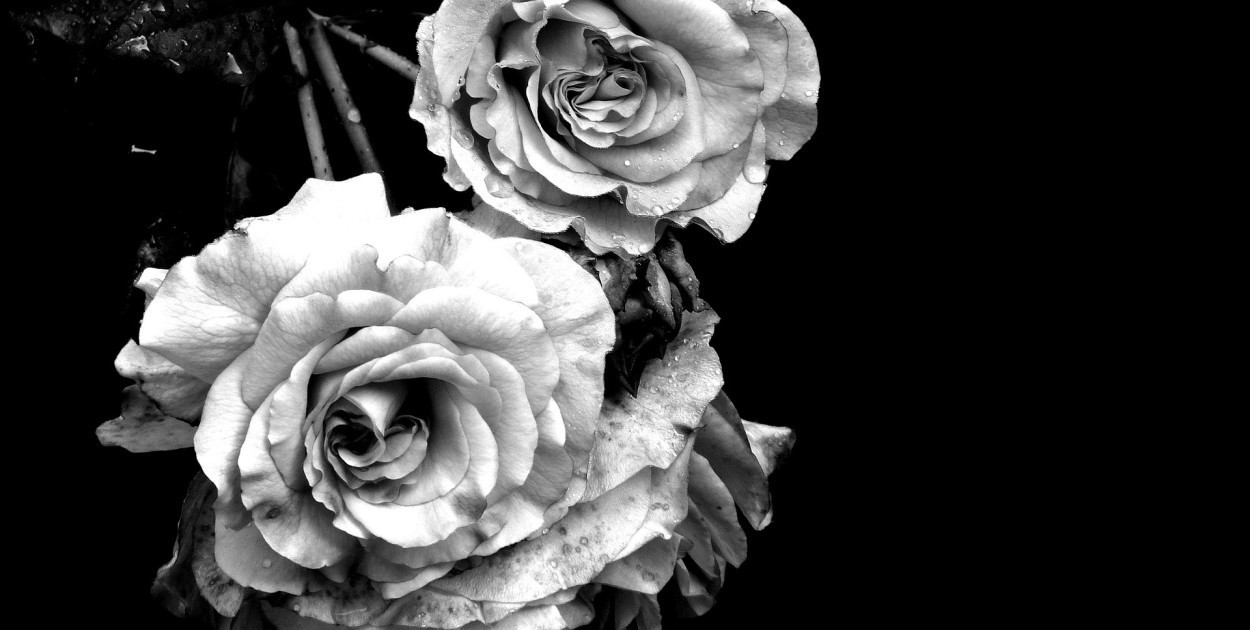 Z głębokim żalem żegnamy Pana mgr. Zbigniewa Kawkę. Kondolencje