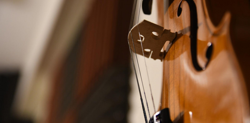 violin-gcdaa1f7d6_1920