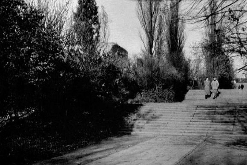 Świadek czasu, światło prawdy/Było i nie minie. Kutnowskie parki (zimą) w latach sześćdziesiątych