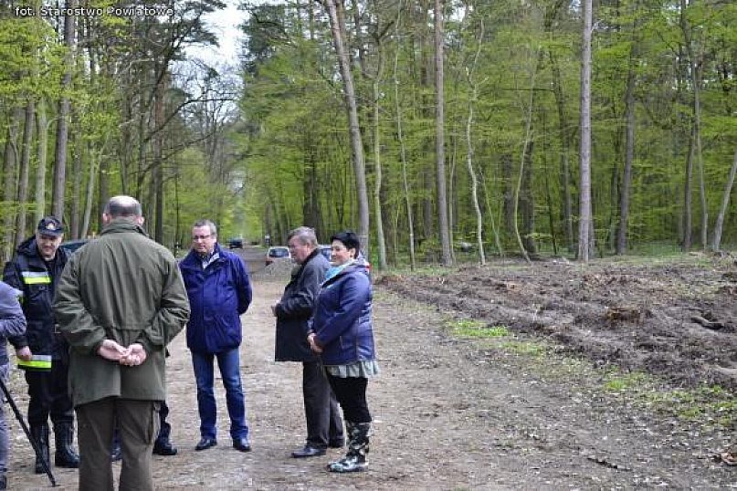 Nadleśnictwo Kutno sadzi 1000 drzew na minutę