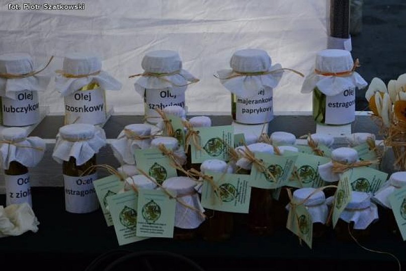 Atrakcyjna oferta trzeciego Kutnowskiego Pikniku Naukowego. Kasprowicz miał najlepsze stoisko