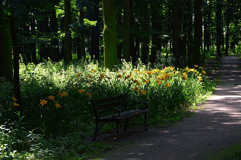 Alejki Parku Wiosny Ludów