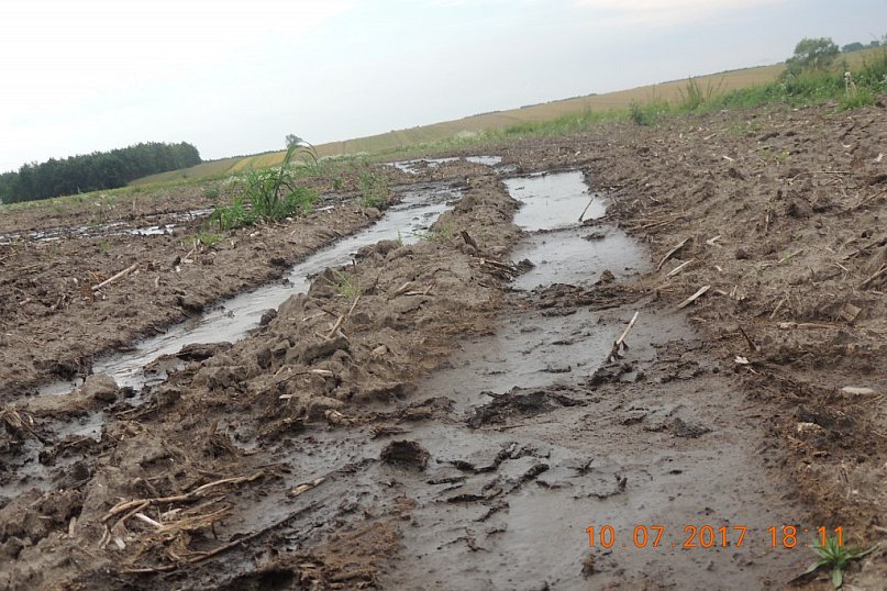 W lipcu przed kontrolą w Siemianowie