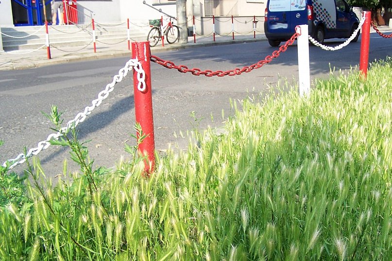 Miejskie obrazki. Piach, śmieci, brud