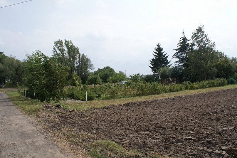 Słoneczna w Kutnie bez kanalizacji