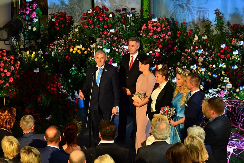 Święto Róży 2017 okiem pietuszka