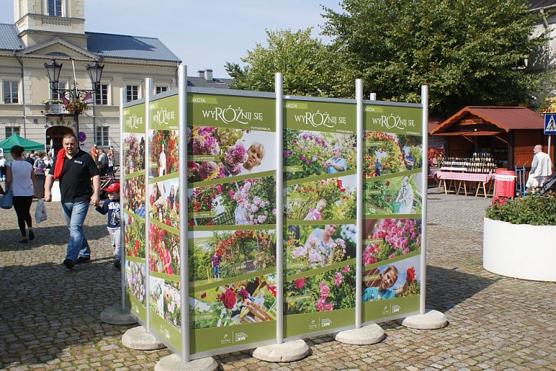 WyRÓŻnij się! Kutnianie i ich róże