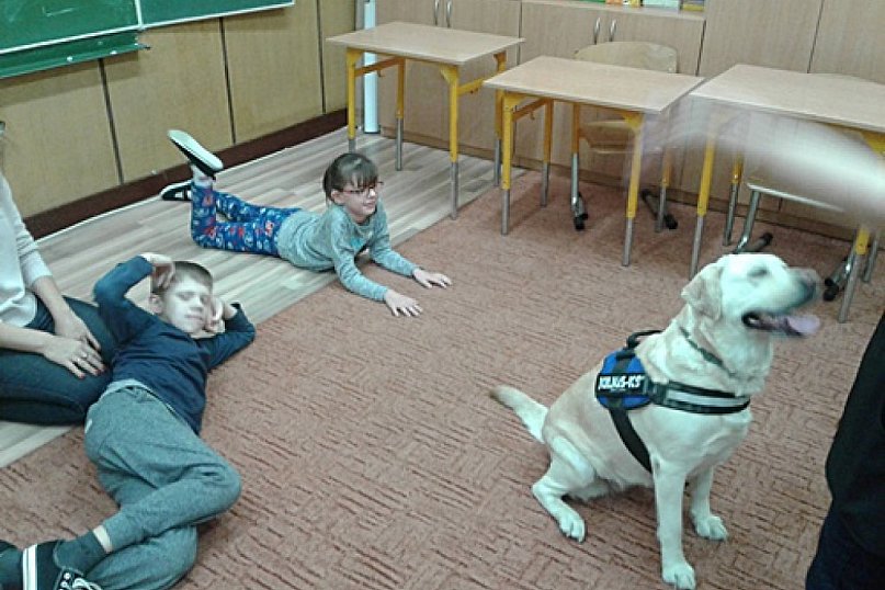 Spotkanie z Polą, psem terapeutą