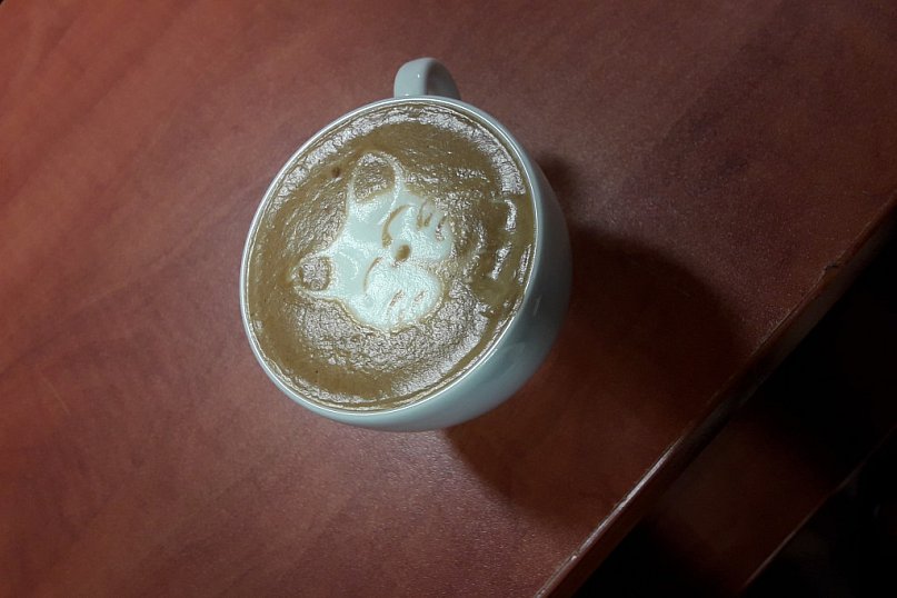 Uczniowie na kursie baristy