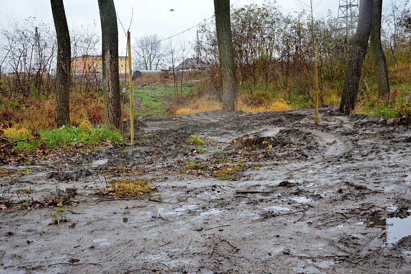 Rozjeżdżone pobocza i brud na drodze