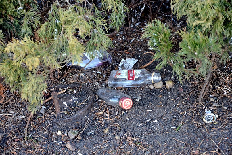 Sobotni spacer pełen niespodzianek