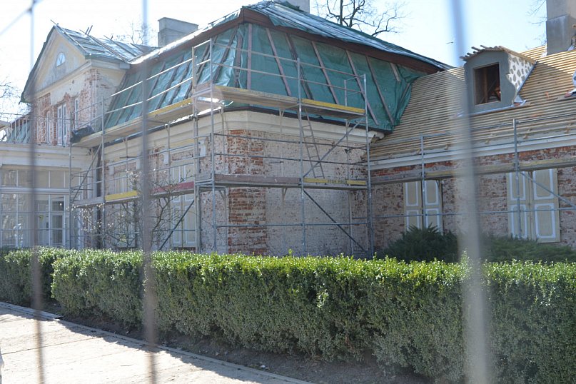 Czekamy na wiosnę w parku