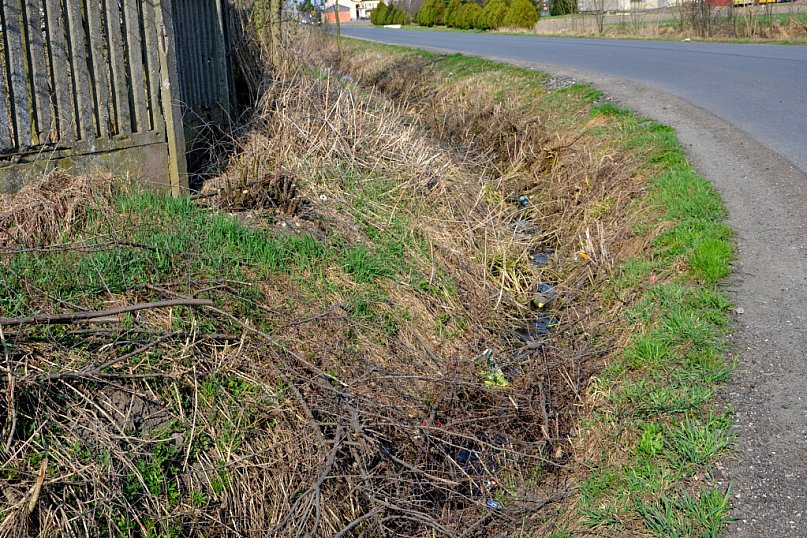 Podmiejskie obrazki. Rowy