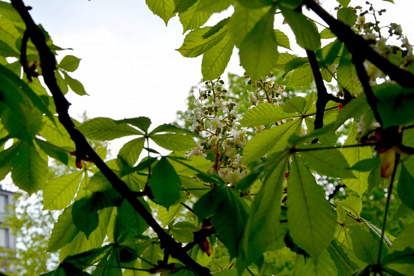 Bardzo wiosennie ...