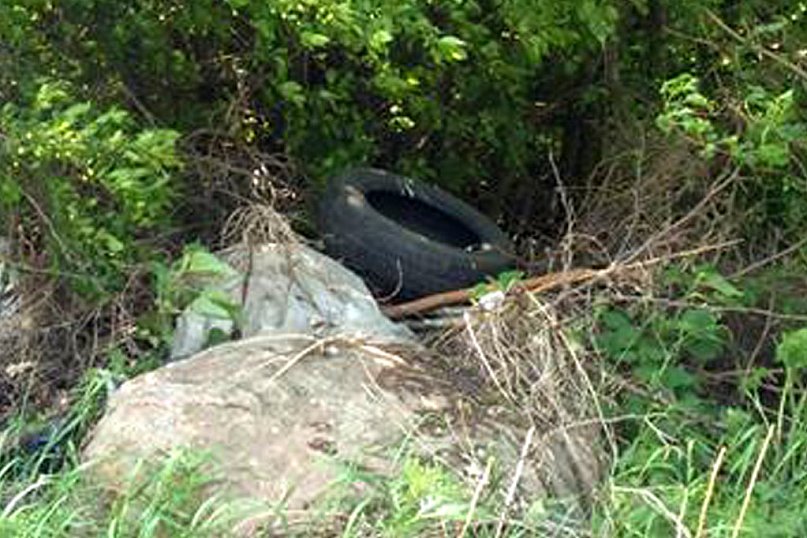 Dewastacja na Promiennej