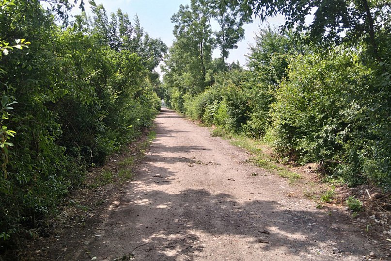 XIX wiek w Gminie Kutno