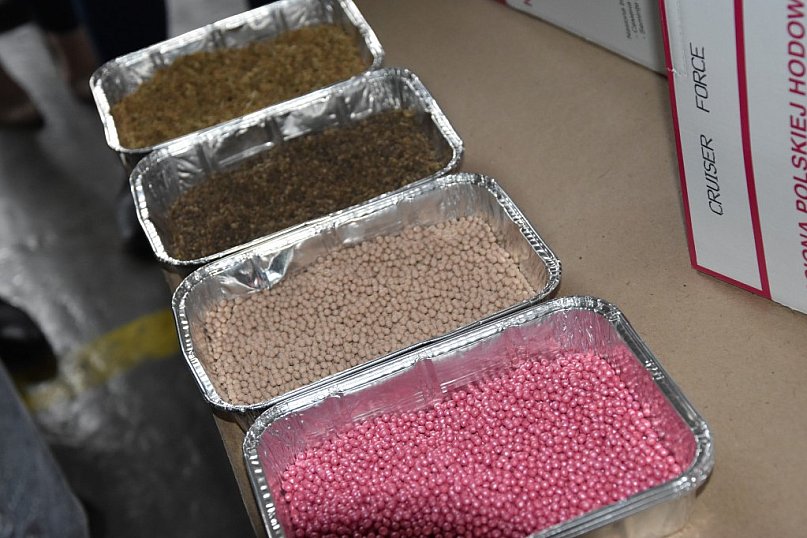 Kandydaci do Lwa z Kutna