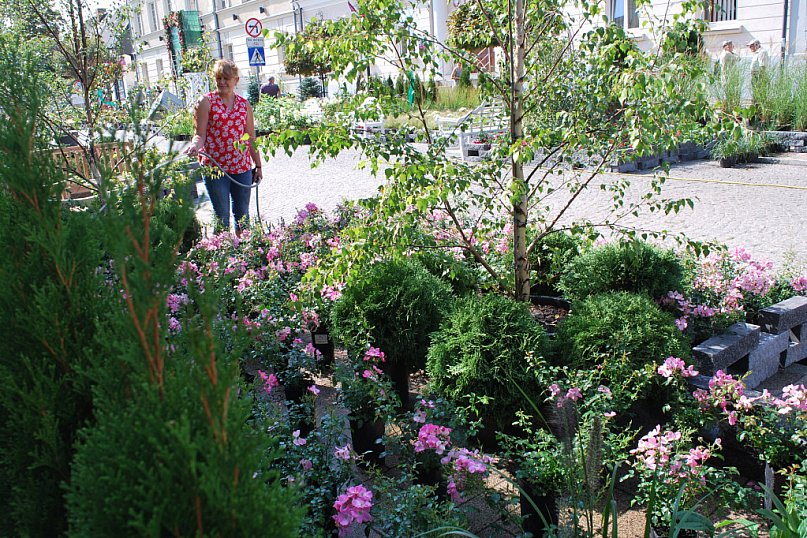 Wejdź w zieloną strefę