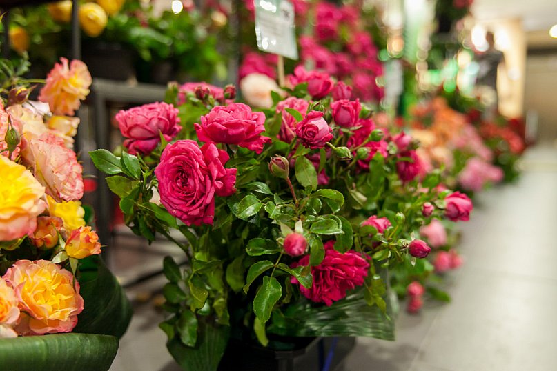 Róża jest kobietą