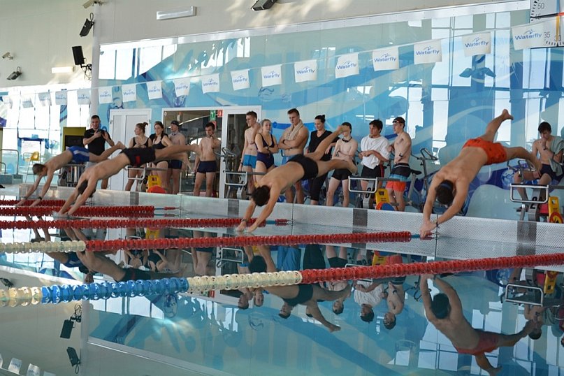 Mistrzostwa w pływaniu