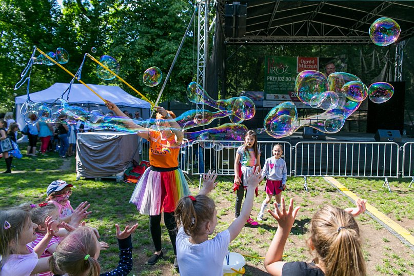 Piknik wśród Róż 2019