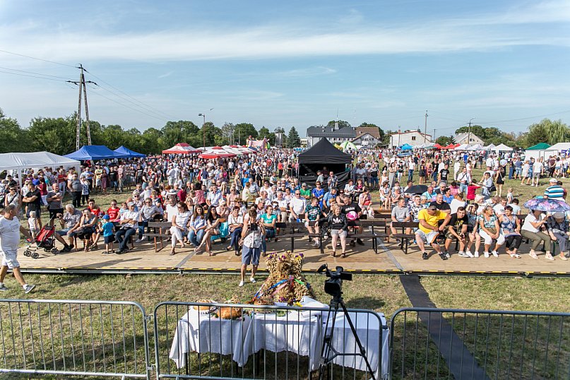 Dożynki powiatowo-gminne Strzelce