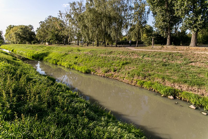 Zanieczyszczona Ochnia?