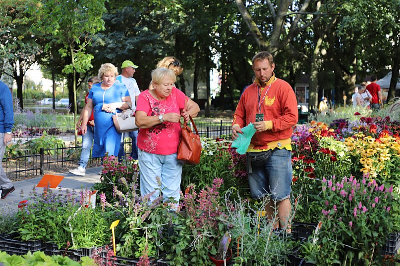 Plenerowe Targi Różane