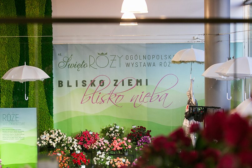 Blisko ziemi, blisko nieba...