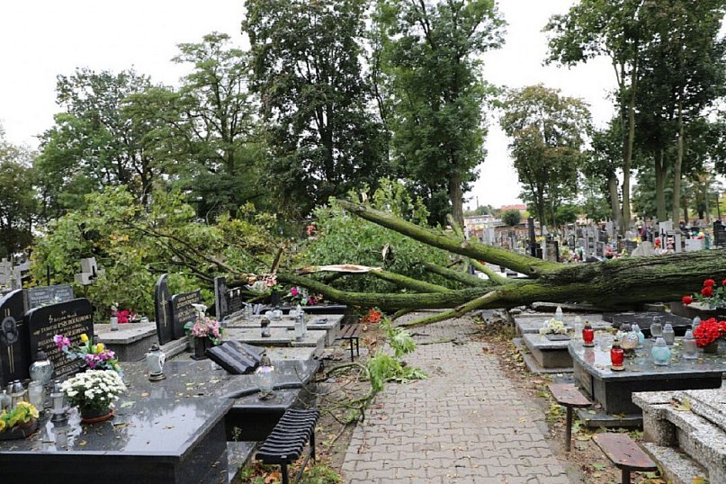 Szkody na cmentarzu