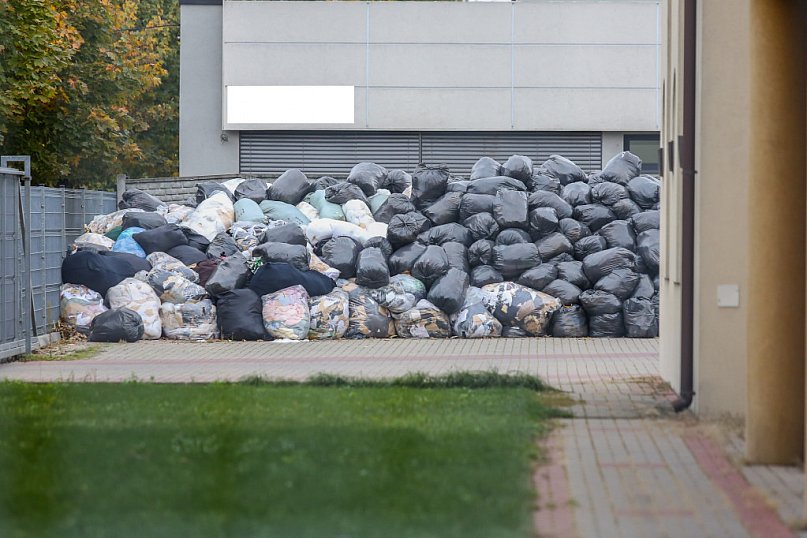 Mieszkańcy boją się szczurów